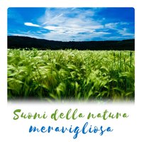 Ruscello di montagna - Musica Rilassante Maestro