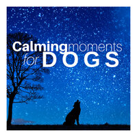 Calmed Emotions - Music for Dogs Collective
