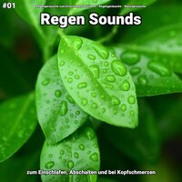 Regen Sounds, pt. 34 - Regengeräusche zum Einschlafen Lars Honn & Regengeräusche & Naturgeräusche