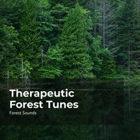 Relaxed in the Riverbank - Ambient Forest & Forest Sounds & Rainforest Sounds