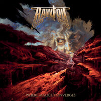 D-Fens - Rawfoil