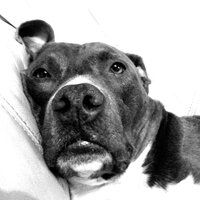 Tainted Moonlight - Mr. Clean & Sir H@mlet