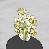 Daffodil - Baz
