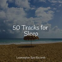 Pacific Dreams - Sleepy Times & Calming Sounds & Sound Sleeping