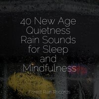 Rain, Glass, Window Pane - Happy Baby Lullaby Collection & Study Music & Sounds & White Noise Sleep Sounds