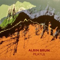 Holzwangflue - Albin Brun