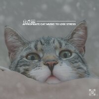 Tom Is in the the Dreamland - Cats Music Zone