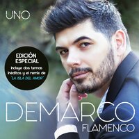 Como Te Imaginé - Demarco Flamenco