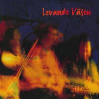 Grannens Favorit - Väsen