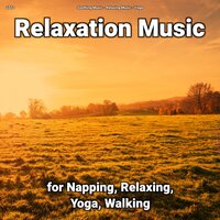 Relaxation Music Pt. 5 - Soothing Music & Relaxing music & Yoga
