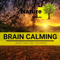 Calming Rhymes - Yoga Music