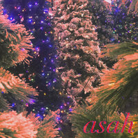 Merry Christmas My Dear - Tomas Loredo