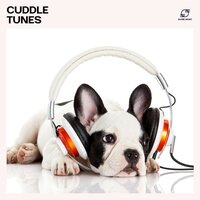 Pup Calm - Relax My Pet & Dog Music Library & Pet Lullaby & Pet Sleep