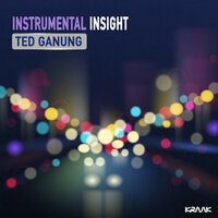 Instrumental Insight - Ted Ganung
