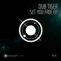 Set You Free - Dub Tiger