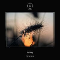 Psybernetic - Keistep