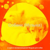 Впечатление (Одинокие собаки) - Музыка для собак