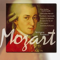 Serenade No. 1 in D Major, K. 100: VIII. Allegro - Vegh Quartet & Salzburg Mozarteum Camerata Academica & Вольфганг Амадей Моцарт