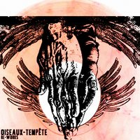 La traversée - Oiseaux-Tempête & Saåad