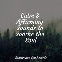 Elixir of Life - Thunder and Rain Storm & Lluvia PQ & Academia de Música para Massagem Relaxamento