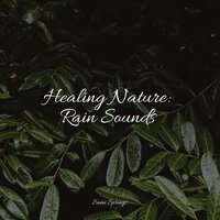Trickling Rains into Drains - Musique Zen Garden & Tranquility Spa Universe & Sounds of Rain & Thunder Storms