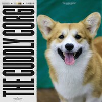 Soaring with the Moon - Sounds Dogs Love