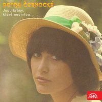 Milionář - Petra Černocká