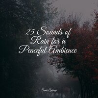 Meadows, Birds, Summer, Rustle - Kundalini: Yoga & Soothing Chill Out For Insomnia & Study Power