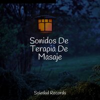 Cruce Del Dharma - Musica para Dormir Dream House & Musica Meditaction & Dormir Sol