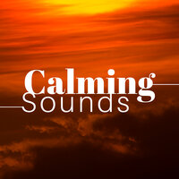 Music for Yoga - Greatest Guru