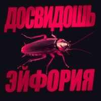 Нрктк - Досвидошь