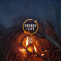Fire Raging with Crickets, Pt. 25 - Sounds Of Life