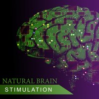 Relaxing Track for Learning - Brain Power Academy
