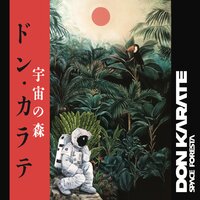 Vampire - Don Karate