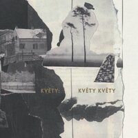 Kinedryl - Kvety