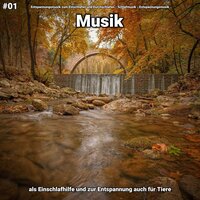 Entspannungsmusik pt. 39 - Entspannungsmusik zum Einschlafen und Durchschlafen & Schlafmusik & Entspannungsmusik