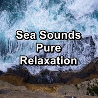 River Sounds Ocean Lullaby Help with Studying - Oasis de Détente et Relaxation & Relaxation – Ambient & Natural White Noise Relaxation