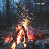 Bonfire and Friends - Fireplace Sounds & Fire Sounds & The Nature Soundscapes