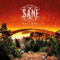 Niin Käyvät Kahdestaan - Sani & Veeti Kallio
