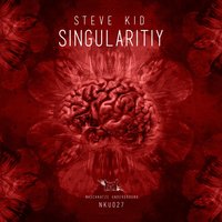 Singularity - Steve Kid
