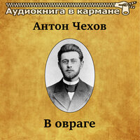 В овраге. Часть 5 - Аудиокнига в кармане & Василий Качалов