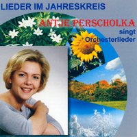 Sechs deutsche Lieder für Singstimme und Sinfonieorchester, Op. 103: No. 3, Sehnsucht - Antje Perscholka & Roland Weske & Jena-Sinfonietta