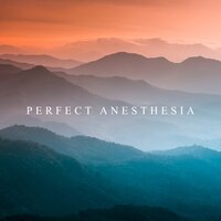 Sense of Being - Beautiful Nature Music Paradise