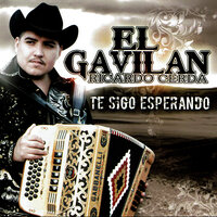 Y que vas a decirme - Ricardo Cerda El Gavilan