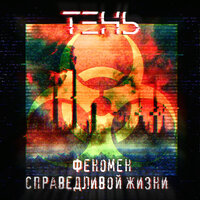 Феномен Справедливой Жизни - ТЕНЬ