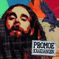 Detta har hänt - Promoe