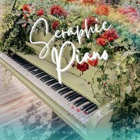 Serene Reflections - Piano Music Oasis