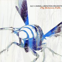 Girl, I Wanna Lay You Down - ALO & Jack Johnson & ALO (Animal Liberation Orchestra)