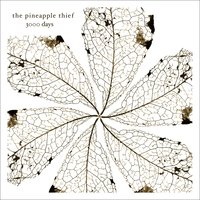 Tightly Wound - The Pineapple Thief