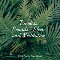 Stressless - Music to Relax in Free Time & Best Kids Songs & Deep Sleep Systems